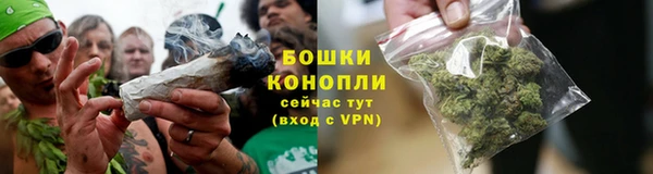 круглые Заводоуковск