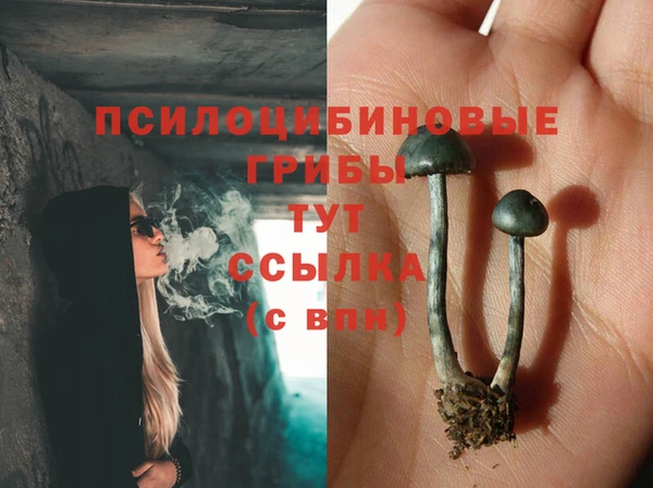 круглые Заводоуковск